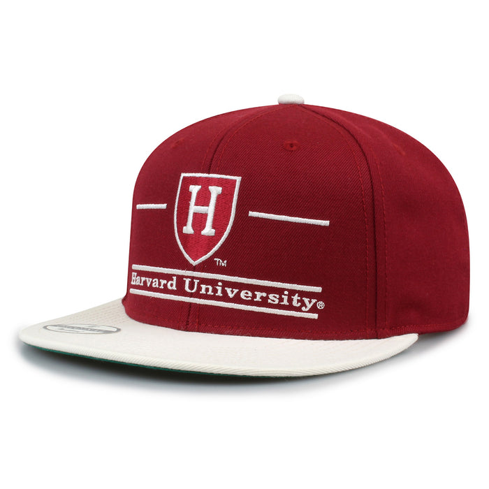 Harvard '93 Til Snapback