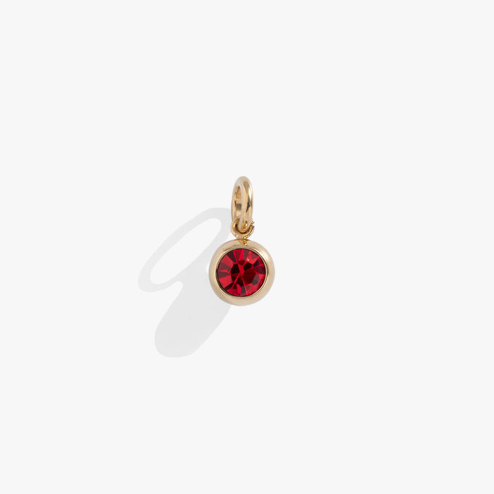 July Birthstone Interchangeable Charm