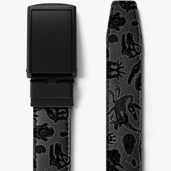 Jurassic Belt