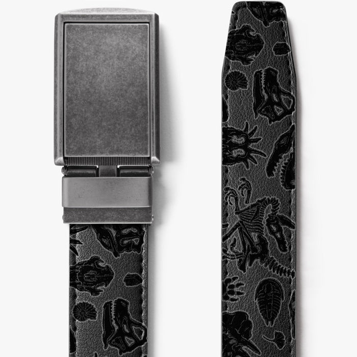 Jurassic Belt