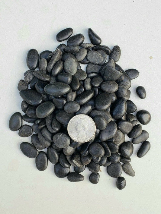 Larger Top Dressing Rock,  Black/ White/ Natural, cactus, succulent, garden