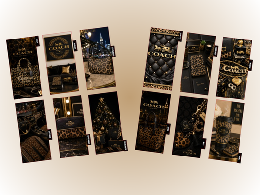 Leopard Coach | Monthly Dividers | A5 Rings | Set of 12 | PRE-ORDER
