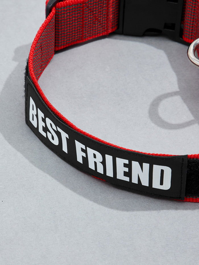 Letter Graphic Pet Collar - SAFICCO