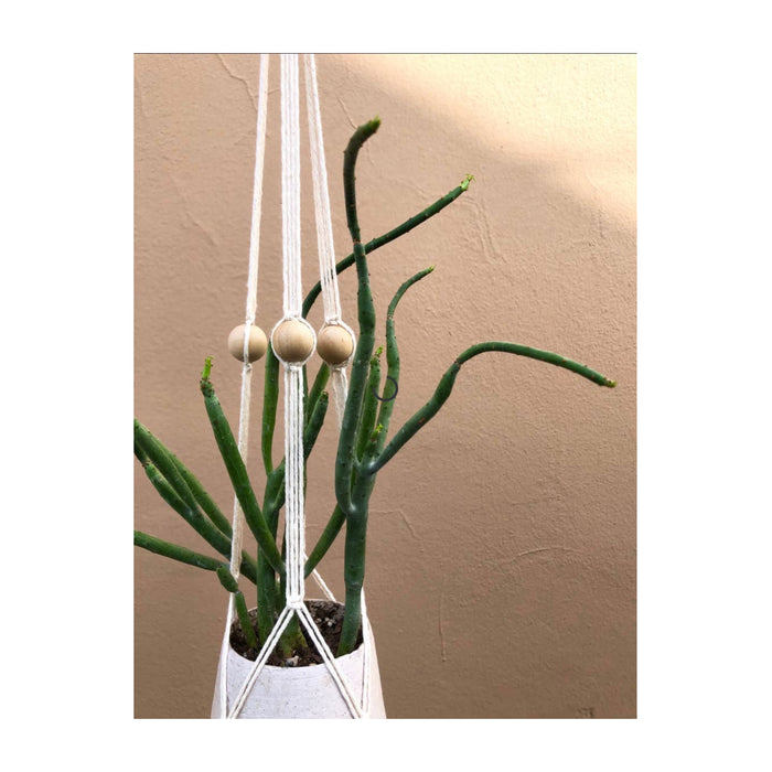 Little Feral Wooden Bead Plant Hanger