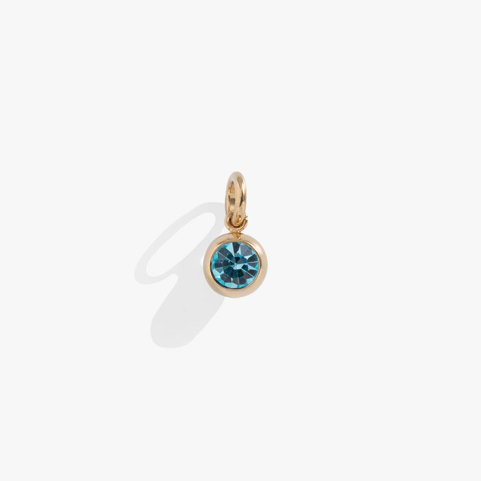 March Birthstone Interchangeable Charm