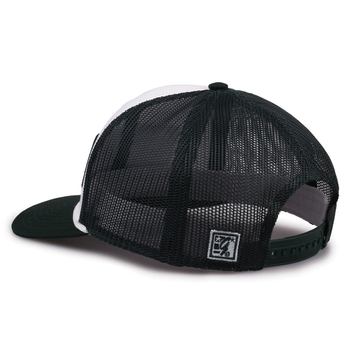 Michigan State Hats