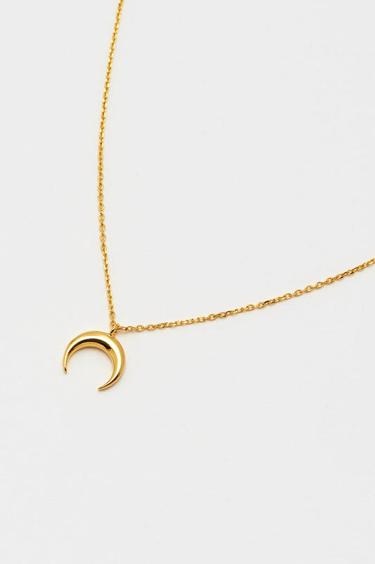 Mini Horn Necklace