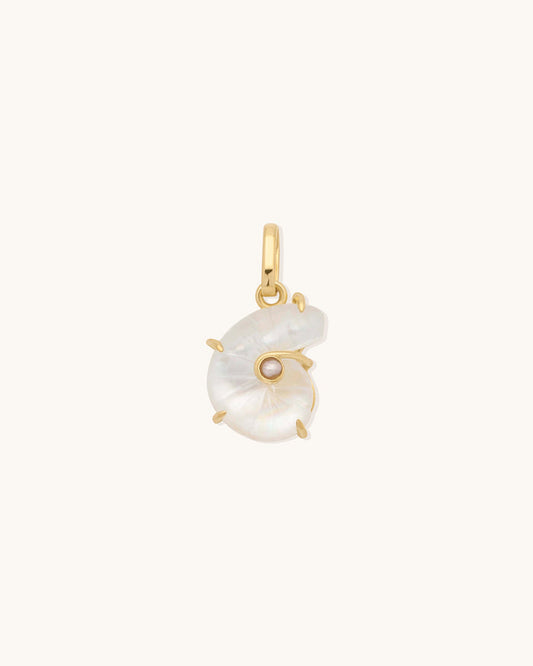 Nautilus Shell Pendant