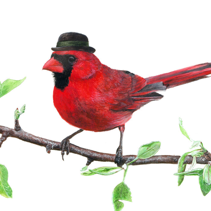 Northern Cardinal with Bowler