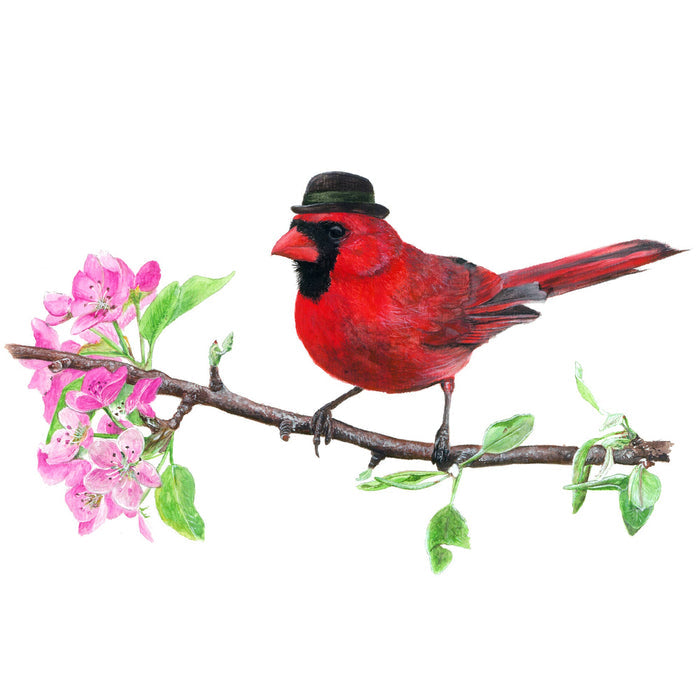 Northern Cardinal with Bowler