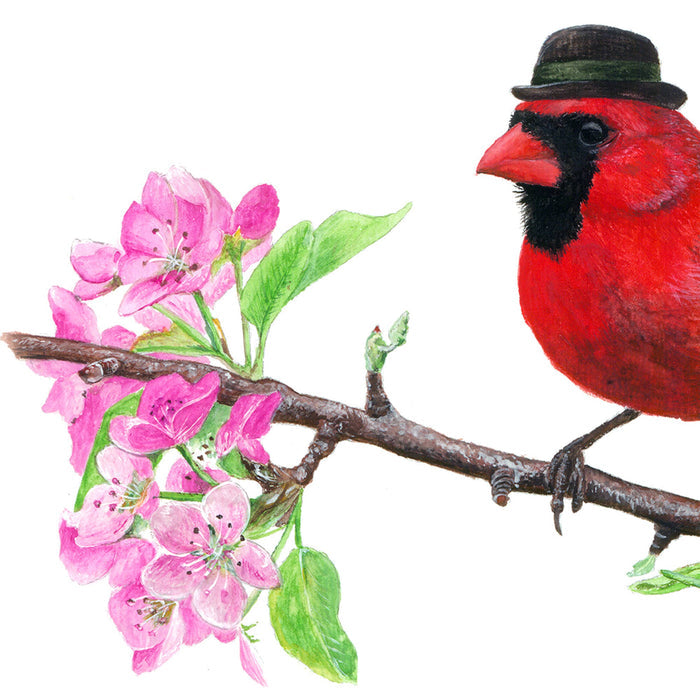 Northern Cardinal with Bowler