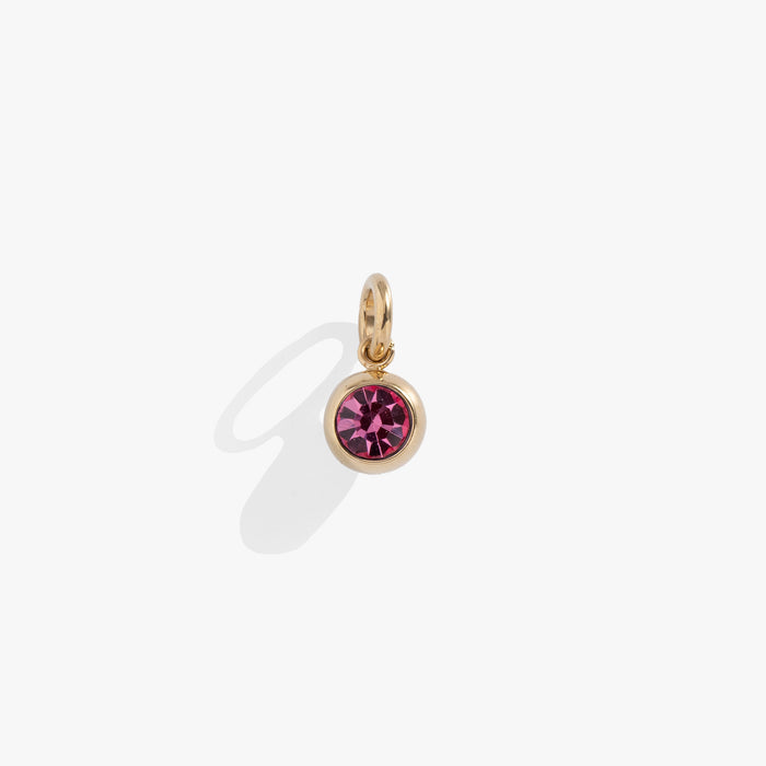 October Birthstone Interchangeable Charm