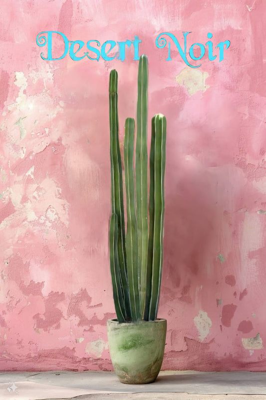 Pachycereus marginatus, Fence Post Cactus, Cactus, Succulent, Live plant