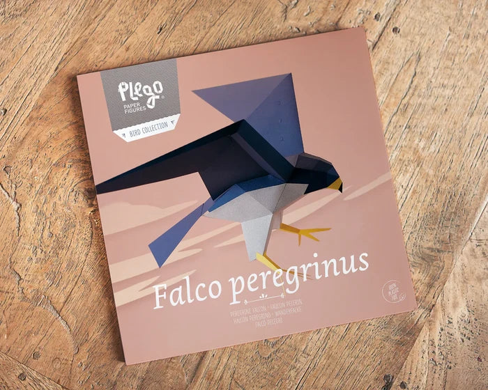 Peregrine Falcon