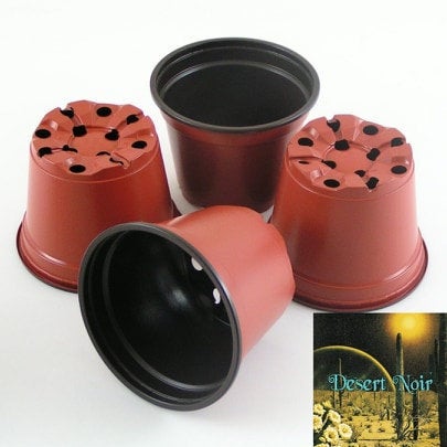 Plastic Grow Pots , 4 inch pot, 6 inch pot, cactus, succulent, plant, garden