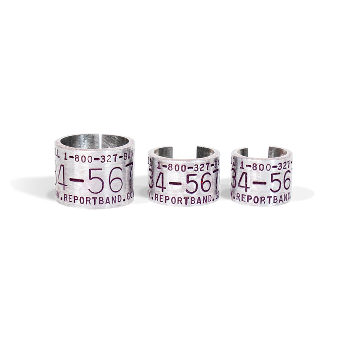 Replica Band