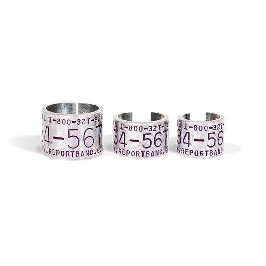 Replica Band