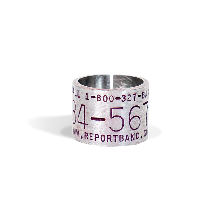 Replica Band