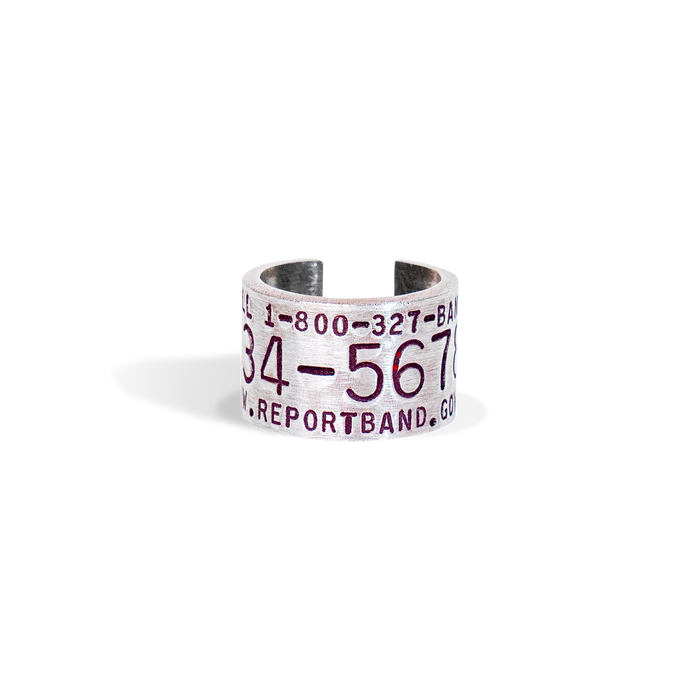 Replica Band