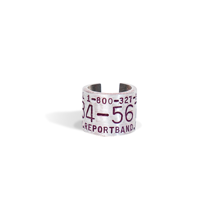 Replica Band