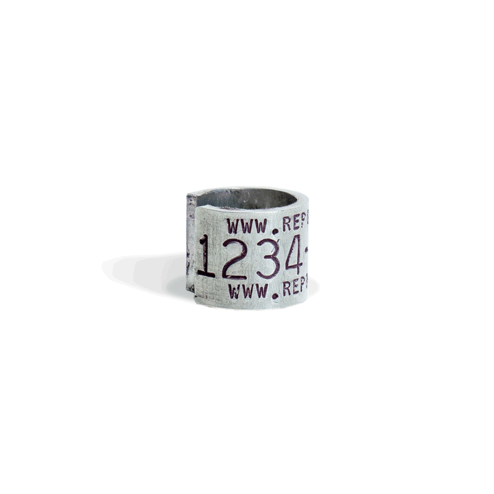 Replica Band