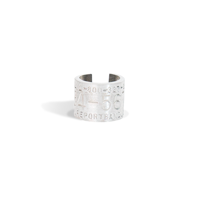 Replica Band