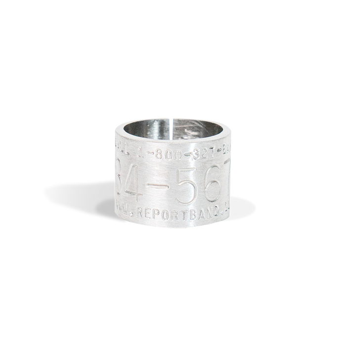 Replica Band