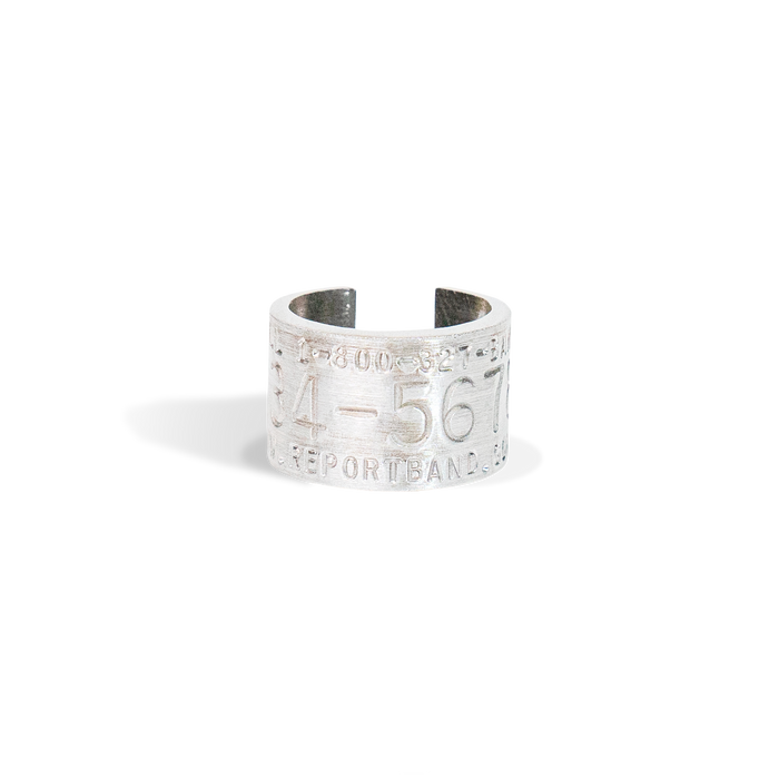 Replica Band