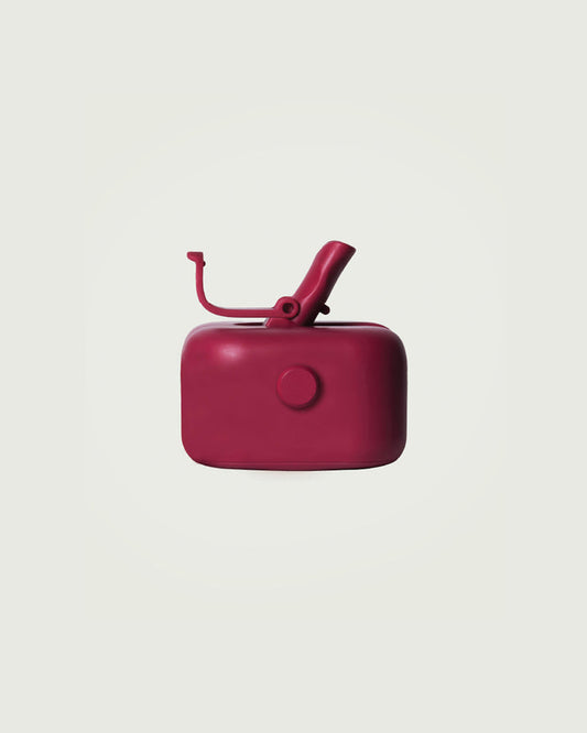 Boysenberry::Sunnies Flask  robo cap pink front