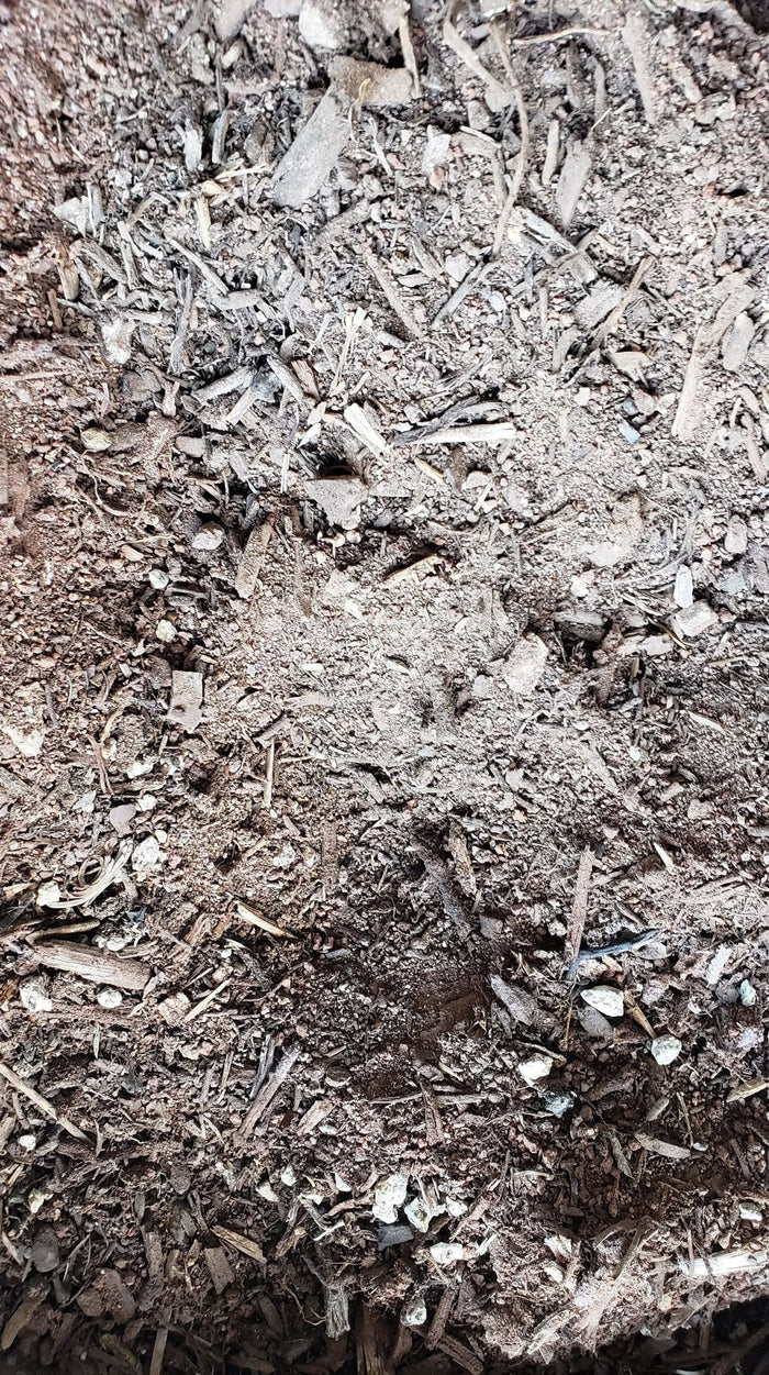 Rooting Soil, Desert Noir, proprietary blend, cactus, propagation, succulents