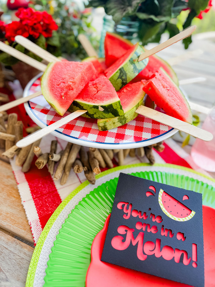 ScanNCut Watermelon Garden Party Online Class (REPLAY)