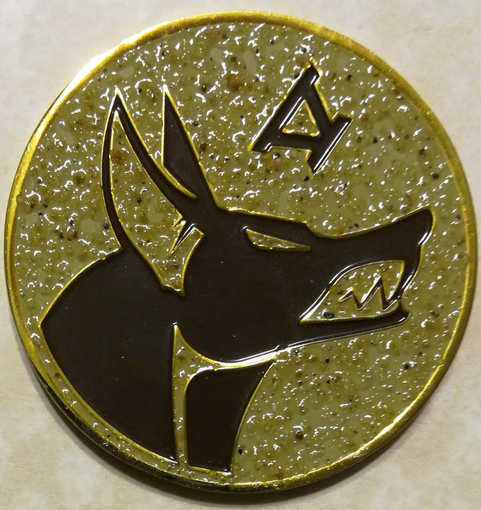 SEAL Team Five V Navy Challenge Coin