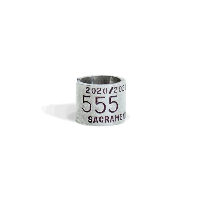 Season Total Band