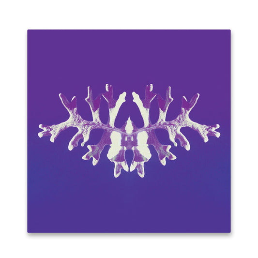 Symmetrical, branching inkblot on a purple background evokes the mysterious vibe of Secret Space, reminiscent of Rorschach test imagery.
