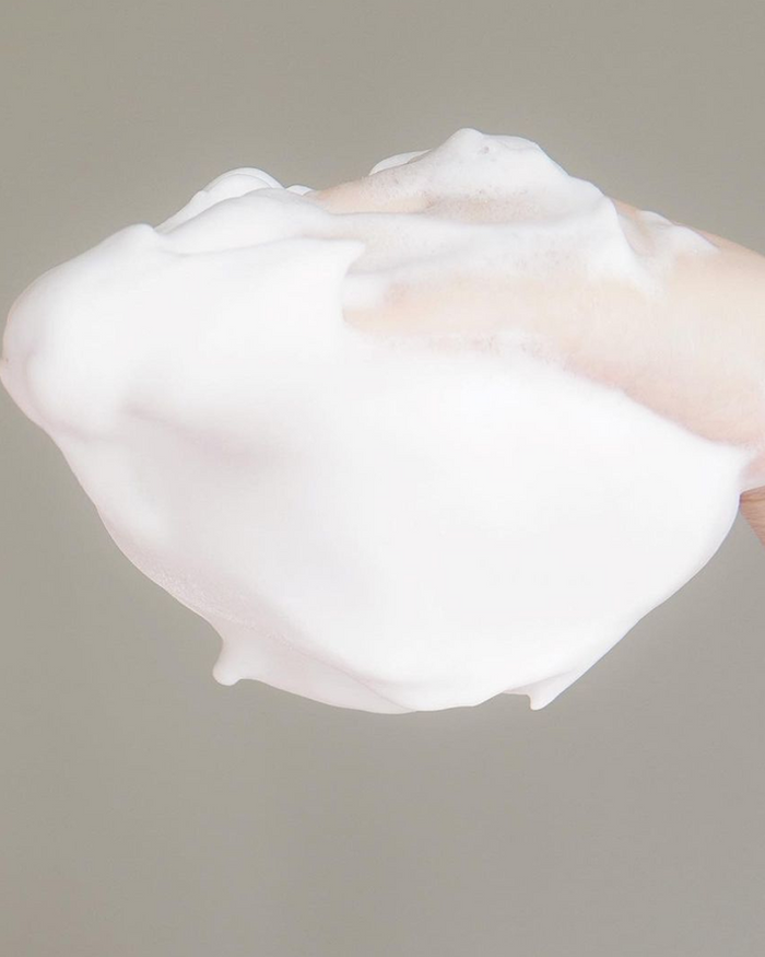 Shiseido Speedy Perfect Whip Cleansing Foam Pump