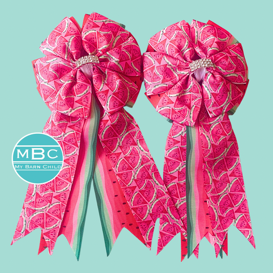 🤩 Show Bows: Watermelon Double