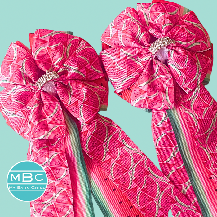 🤩 Show Bows: Watermelon Double