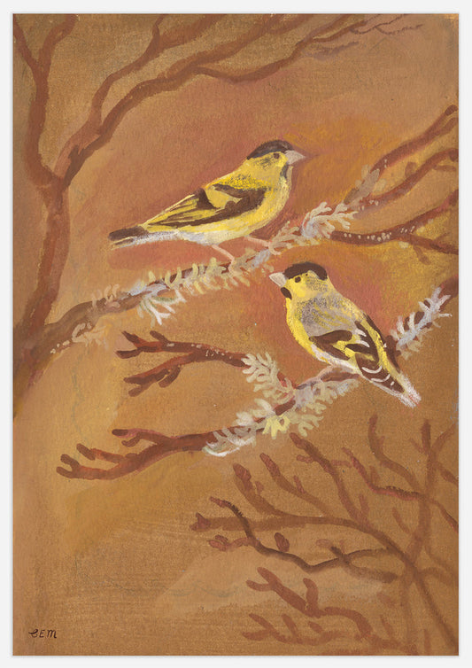 Siskins Print