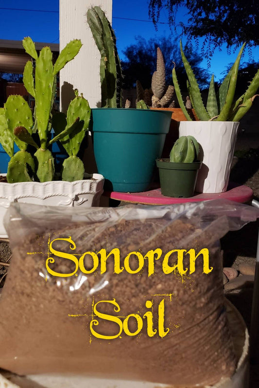Sonoran Soil, Organic Cactus Soil, cactus, succulent