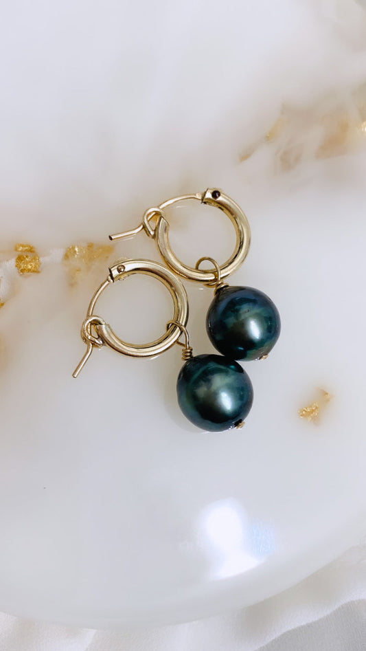Tahitian Pearl Huggy earrings