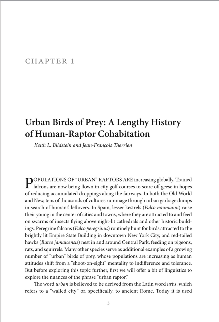 Urban Raptors: Ecology and Conservation of Birds of Prey in Cities
