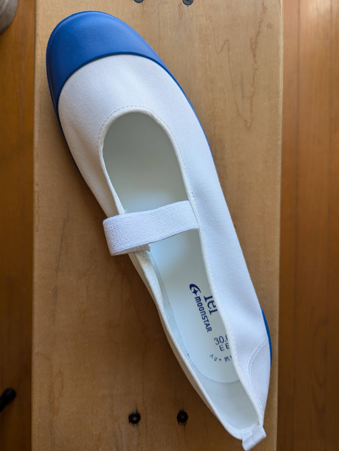 Uwabaki Type #01 [Blue]  Japan made school indoor shoes - Heiwa Slipper