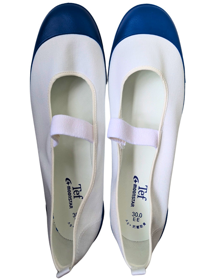 Uwabaki Type #01 [Blue]  Japan made school indoor shoes - Heiwa Slipper