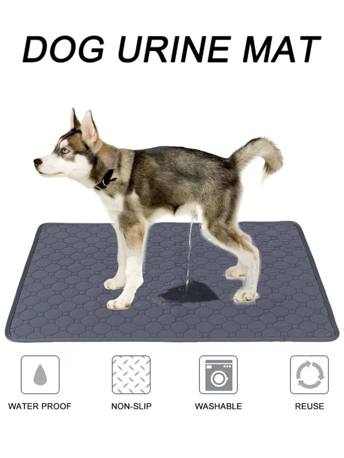Waterproof Pet Urine Pad Non Slip And Easy Dry Cat And Dog Training Pad Can Be Washed And Reused Pet Urine Pad - SAFICCO