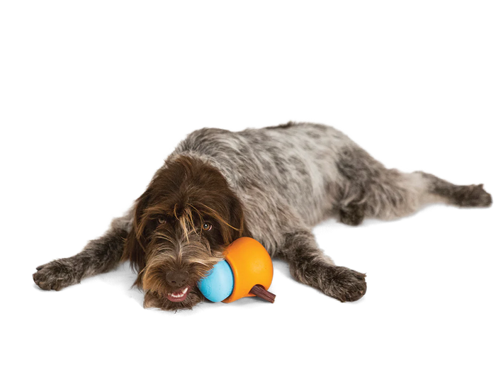 West Paw Zogoflex Toppl Treat Dog Toy