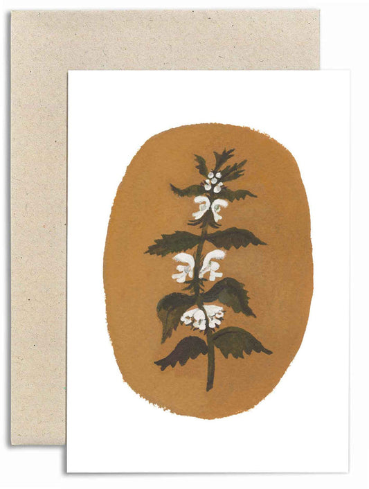 White Dead Nettle Card