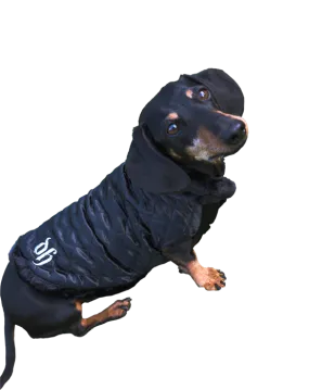 REGAL NOIR JACKET