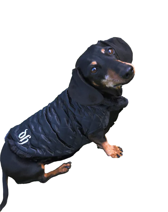 REGAL NOIR JACKET