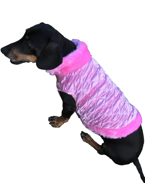 REGAL ROSE JACKET